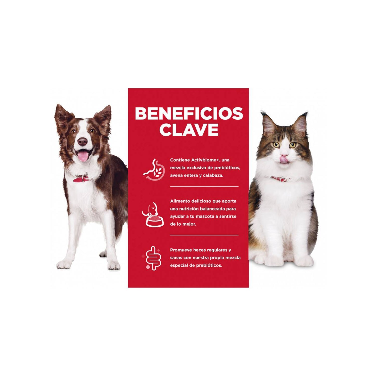 ALIMENTO HILLS PERFECT DIGESTION DOGS 1,58 KG