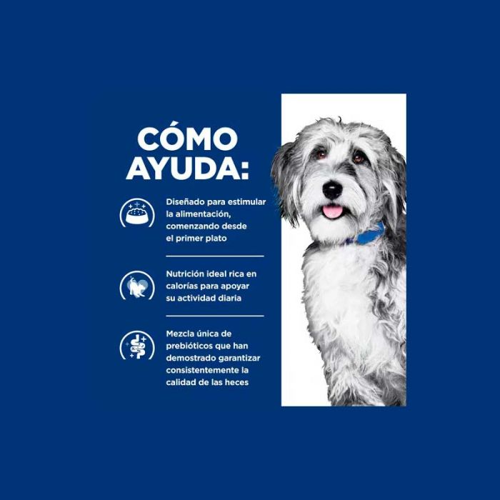 ALIMENTO HILLS ONC CARE PERRO 2,7 KG