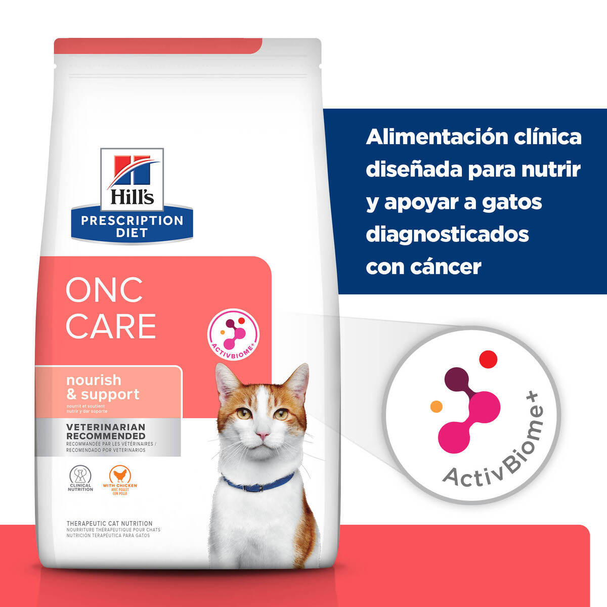 ALIMENTO HILLS DIET ONC CARE GATO 3,17 KG