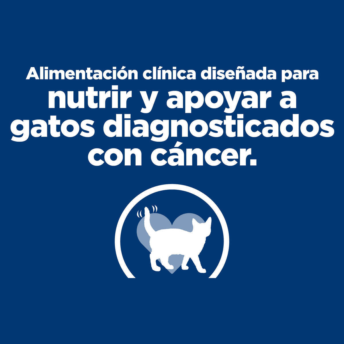 ALIMENTO HILLS DIET ONC CARE GATO 3,17 KG