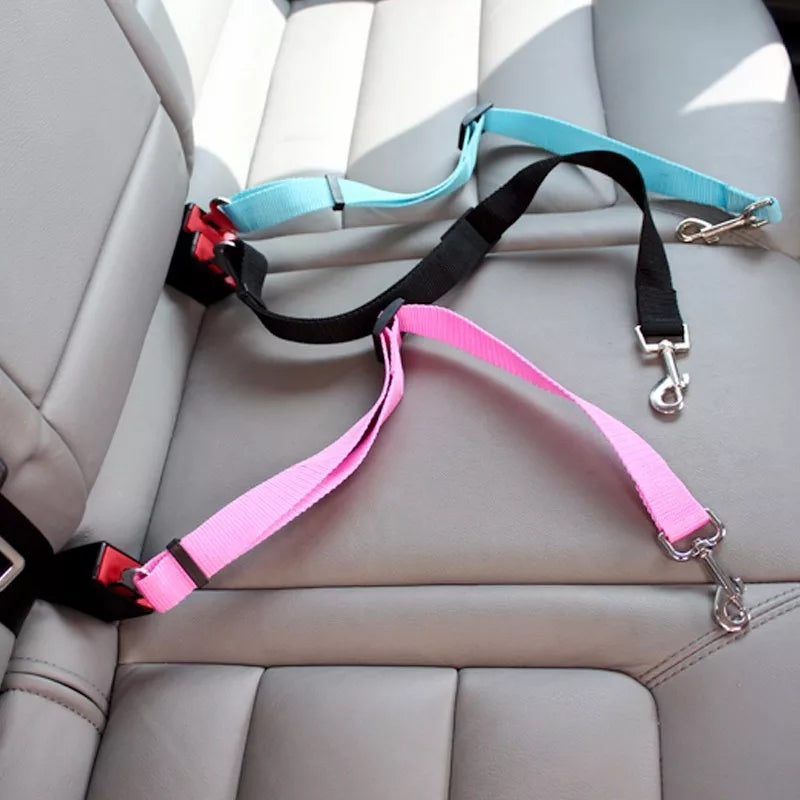 Cinturo de seguridad para perros