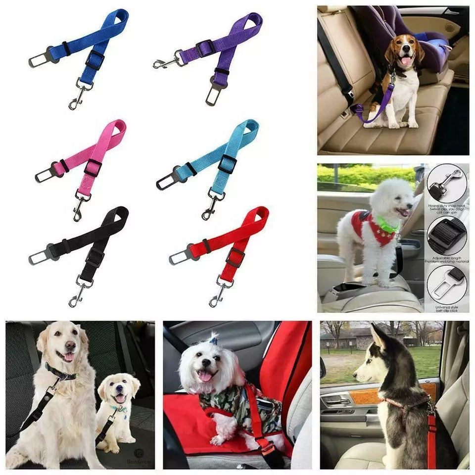 Cinturo de seguridad para perros