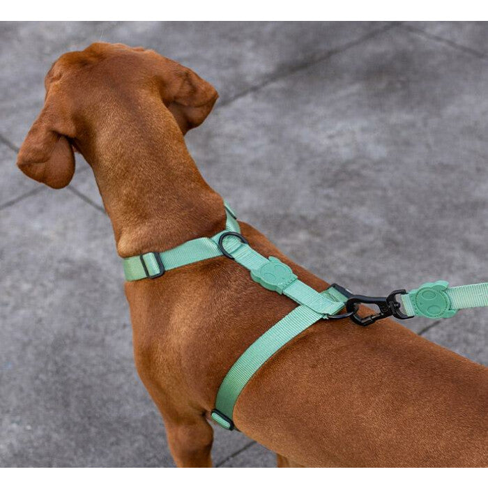 Zee.Dog Army Green H-Harness