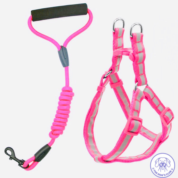 Arnés y Correa Ajustable de Colores Talla S/M