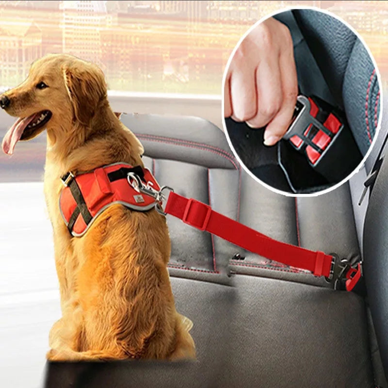 Cinturo de seguridad para perros