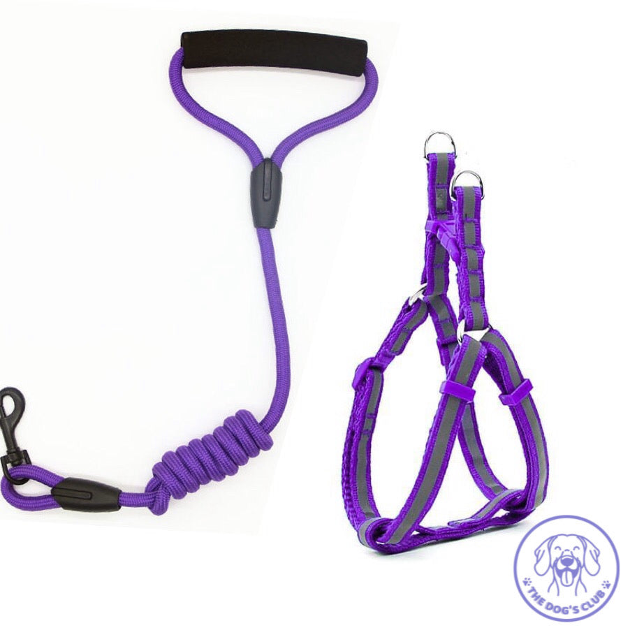 Arnés y Correa Ajustable de Colores Talla S/M
