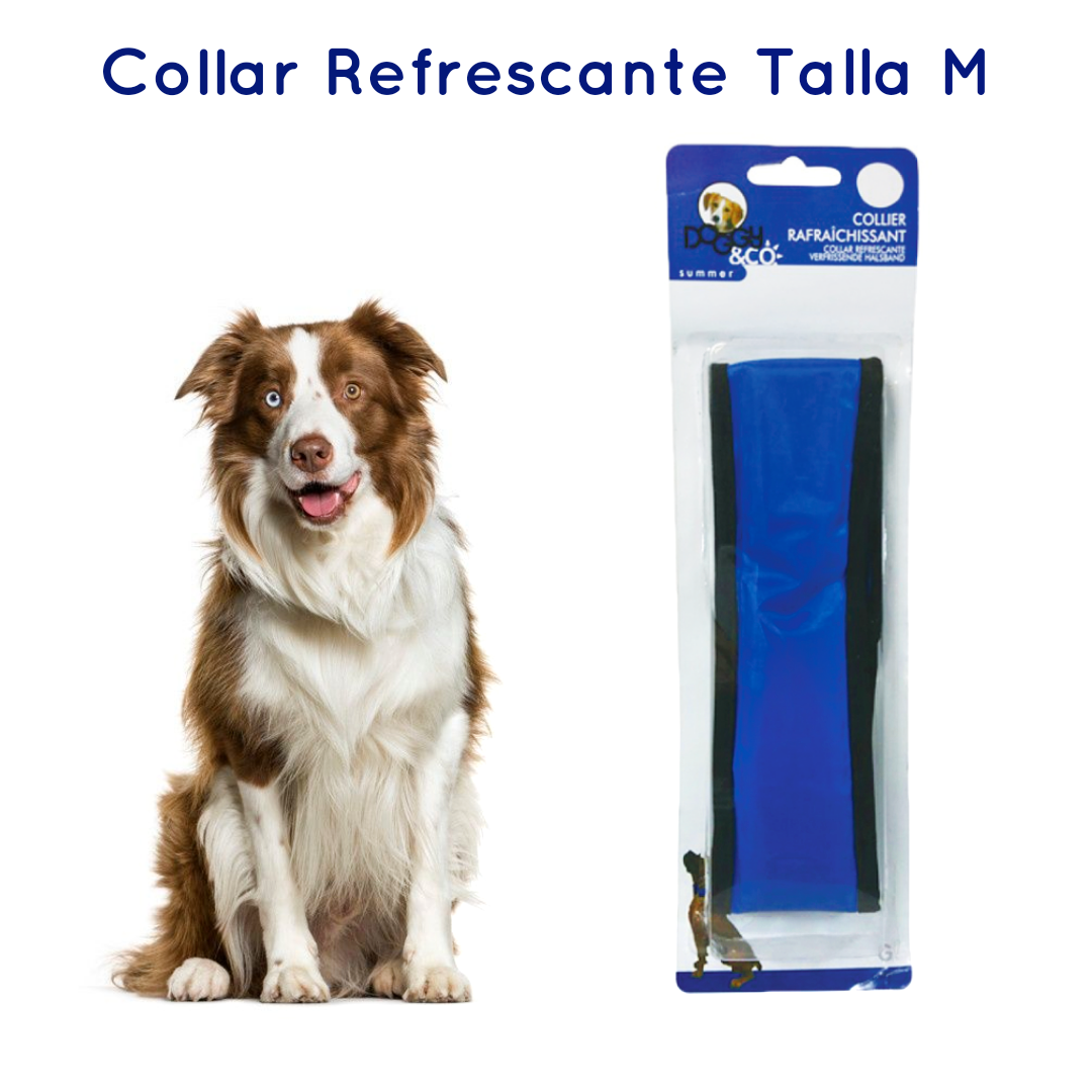 Collar Refrescante para Perros, 3 Tallas.