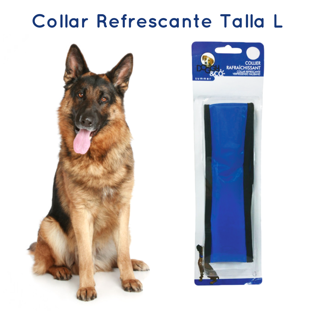 Collar Refrescante para Perros, 3 Tallas.