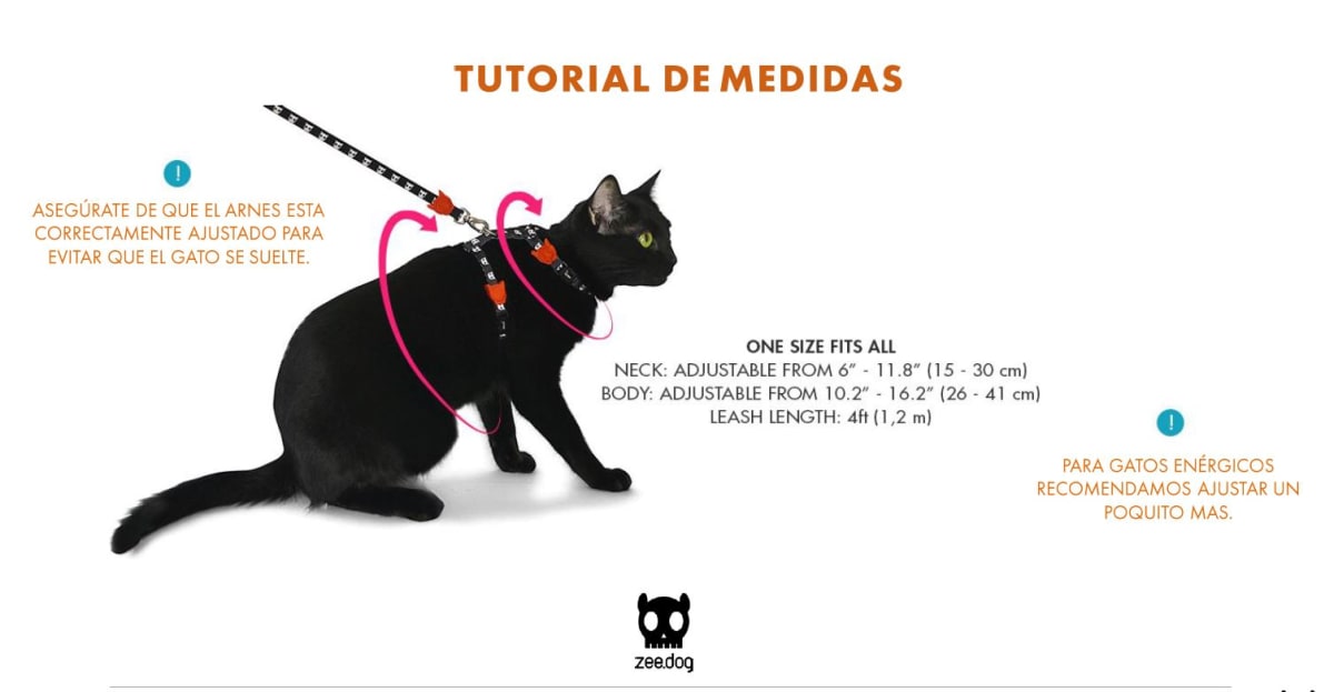 Zee.Cat Atlanta H-Harness & Leash
