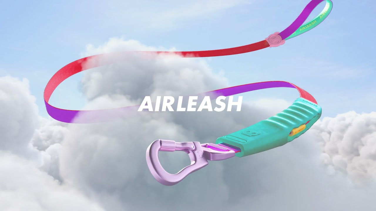 Zee.dog - Airleash Cali Uno Super Strong Super light- Correa anti tirones