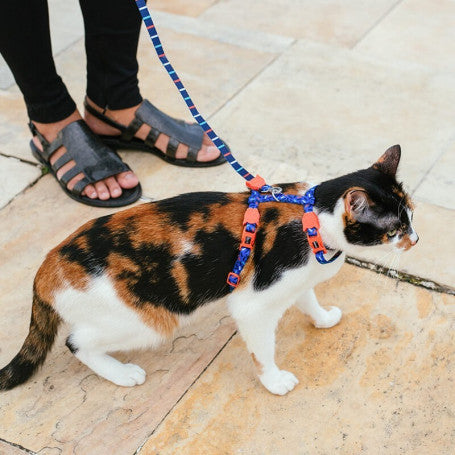 Zee.Cat Atlanta H-Harness & Leash