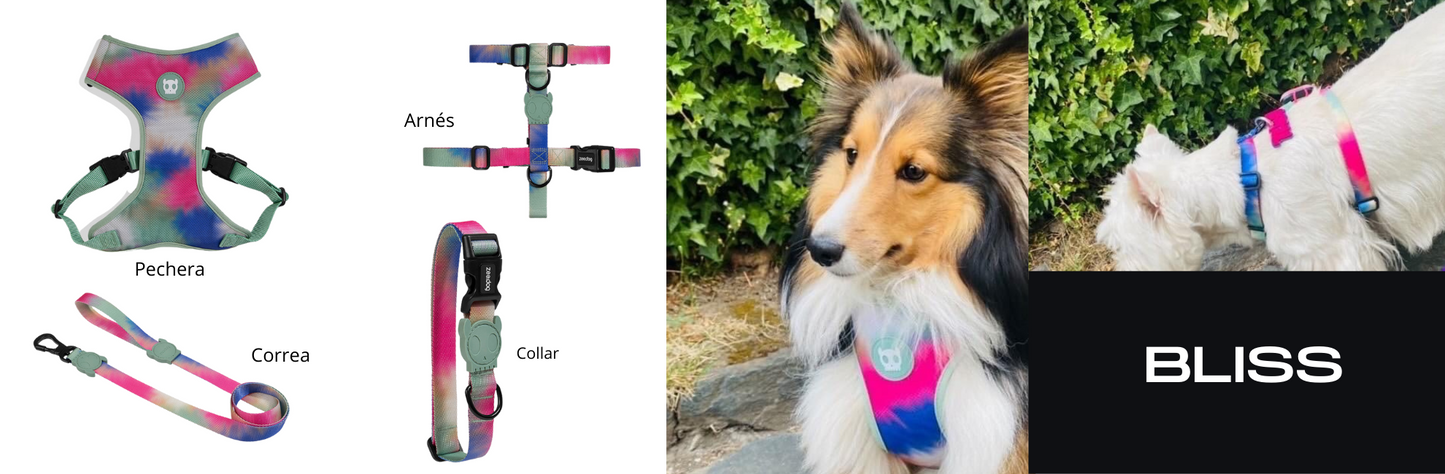 Zee.dog Bliss Adjustable Air Mesh Plus Harness New Collections
