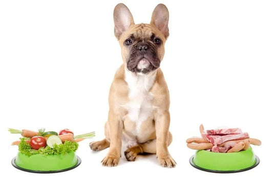 ¿Por qué es bueno dar a tus perros alimentos libres de granos?
