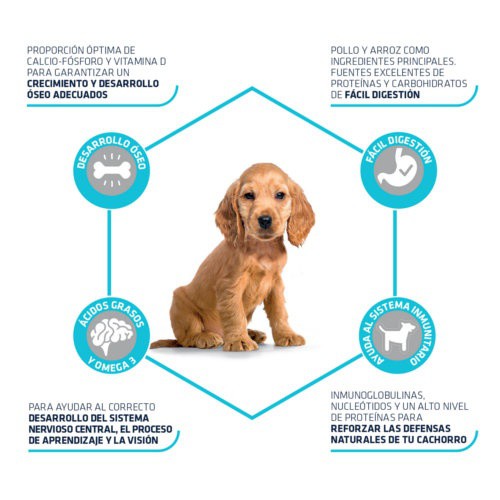 Advance Puppy Medium para cachorros de razas medianas 3KG – The